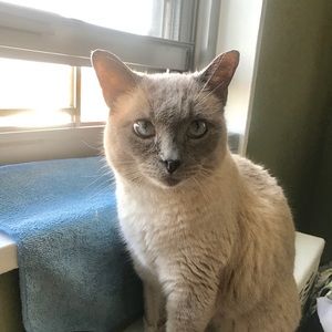 Meet your Posher, Tina